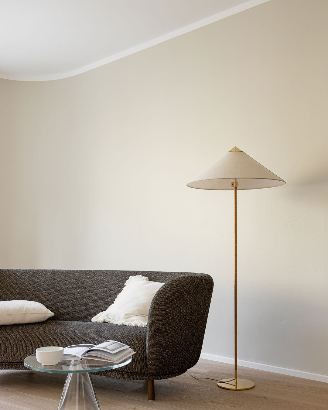 Ivory Color Paint Wall